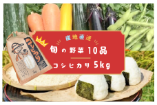 【数量限定】千葉・我孫子の農家直送コシヒカリ＆旬の野菜たっぷり10品