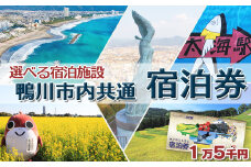 【千葉県鴨川市】市内宿泊施設『共通宿泊券』１万５千円相当　[0050-0034]