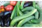 汗を流して収穫したの野菜の味は格別！