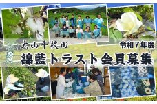 【先着10組限定！】大山千枚田『綿藍(わたあい)トラスト制度』参加権利　[0050-0070]