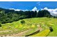 おいしいお米を作りながら、里山の景観を保全する活動です。