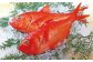 千葉ブランド水産物に認定されている「外房つりきんめ鯛」
脂の乗った肉厚で引き締まった身は、濃いめの味付けにぴったり。
