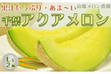 【高橋メロン農園】高級マスクメロン『千葉アクアメロン』Ｌ玉以上 × ２個　[0020-0028]