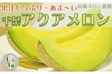 【高橋メロン農園】高級マスクメロン『千葉アクアメロン』Ｌ玉以上 × ３個　[0030-0055]