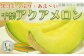 千葉アクアメロンは糖度が高く香りにも食感にもこだわったブランド品種です。