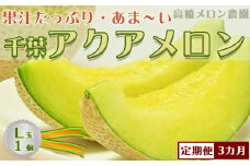 【定期便】高橋メロン農園『千葉アクアメロン』Ｌ玉以上 １個 × ３回発送　[0030-0061]
