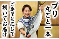 【日時指定可能】ブリ丸ごと一本！捌いてお届け！[0050-0049]