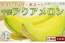 【定期便】高橋メロン農園『千葉アクアメロン』Ｌ玉以上 １個 × ５回発送　[0050-0053]