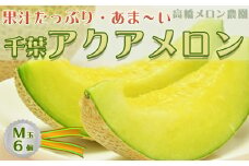【高橋メロン農園】高級マスクメロン『千葉アクアメロン』Ｍ玉以上 × ６個　[0050-0051]