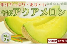 【定期便】高橋メロン農園『千葉アクアメロン』Ｍ玉以上 ２個 × 12回発送　[0200-0024]