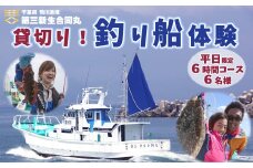 【第三新生合同丸】貸切り！釣り船体験コース（平日限定６時間６名様まで）　[0240-0001]