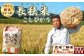 鴨川市自慢のブランド米『長狭米こしひかり』生産農家直送でお届けします！毎月届く定期便！食べきり×３カ月コース