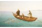 鎌倉時代から地域の人々は鯛を「日蓮聖人の化身」と神聖視し守り続けてきました。