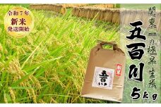 《令和７年産 新米》【米屋新蔵】関東一の極早生米『五百川』５kg　[0016-0026]