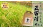 お米のソムリエ「米・食味鑑定士」が厳選！関東一の極早生米『五百川』