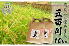 《令和６年産》【米屋新蔵】関東一の極早生米『五百川』10kg　[0023-0005]