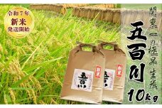 《令和７年産 新米》【米屋新蔵】関東一の極早生米『五百川』10kg　[0032-0004]