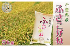 【米屋新蔵】千葉県産『ふさこがね』５kg　[0008-0035]