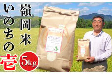 【令和6年産】嶺南ファームの嶺岡米「いのちの壱」 5kg　[0015-0047]