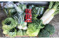 新鮮お野菜を6種～8種お届けいたします