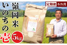 【令和6年産】【定期便】嶺南ファームの嶺岡米「いのちの壱」5kg×6カ月　[0090-0003]