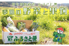 【鴨川直送ふるさと便】季節の野菜＆果物詰合せ　[0015-0043]