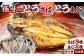 脂が乗って身の締まった『とろさば』『とろあじ』のひもの 毎月届く10カ月定期便！