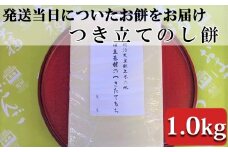つきたて「のし餅」（1.0kg）　[0007-0046]