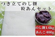 つきたて「のし餅」と自家製あんこセット（大）つぶあん　[0011-0041]