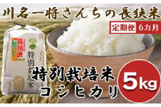 【千葉県知事賞受賞】【定期便】川名一将さんちの長狭米 特別栽培米コシヒカリ5kg×6カ月　[0084-0002]