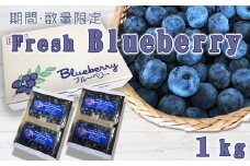 【数量・期間限定】摘みたて直送！『生ブルーベリー』 １kg　[0016-0025]