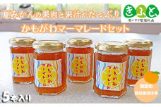 【福祉施設応援】夏みかんマーマレード５個セット【思いやり型返礼品】[0010-0308]
