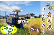 【令和6年産】嶺南ファームの嶺岡米「コシヒカリ」5kg　[0012-0064]