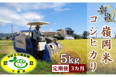 【令和6年産】【定期便】嶺南ファームの嶺岡米「コシヒカリ」5kg×3回　[0036-0005]