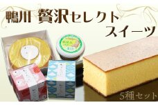 【鴨川スイーツセレクション】贅沢セレクトスイーツ ５種セット　[0018-0006]