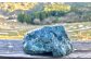 蛇紋岩由来の重粘土質の土壌には、稲の成育に必要なミネラル分が豊富に含まれており、美味しいお米が出来上がります。