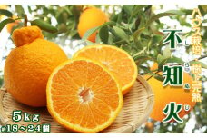 【数量限定・先行予約】もぎたて樹上完熟！『不知火-しらぬひ-』５kg　[0016-0018]