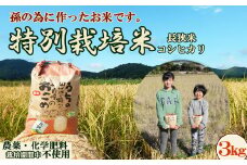 【令和６年産】孫のために作りました！田代農園の『特別栽培米』《玄米》３kg　[0020-0097]