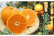 【数量限定・先行予約】もぎたて樹上完熟！『訳あり せとか』５kg　[0014-0029]