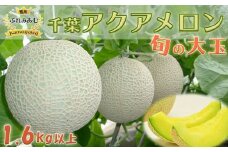 【令和7年5月発送／先行予約】鴨川ぷれみあむ『千葉アクアメロン』旬の大玉 １個　[0010-0213]