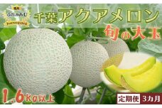 【令和7年5月発送／先行予約】鴨川ぷれみあむ『千葉アクアメロン』旬の大玉１個 × ３カ月　[0030-0095]