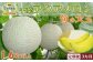 《令和８年５月より発送開始！》糖度・食味ともに最高の季節にお届けする旬の大玉🍈