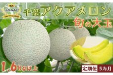 【令和8年5月発送／先行予約】鴨川ぷれみあむ『千葉アクアメロン』旬の大玉 １個 × ５カ月　[0050-0078]