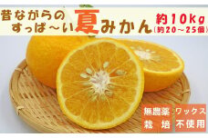 【旬の柑橘】フレッシュですっぱ～い夏みかん 約10kg　[0008-0029]