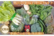 【年４回定期便】鴨川の朝採れ野菜･｢旬｣を味わうセット　[0056-0001]