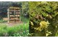 広いお庭の一角にひっそり佇む「Bee Hotel」この日は入居なし？