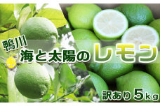 《先行予約》【皮まで食べられる】海と太陽のレモン【訳あり品-良品-】５kg（約40個）[11月発送]　[0011-0058]
