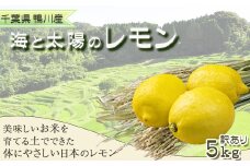 《先行予約》【皮まで食べられる】海と太陽のレモン【訳あり品-良品-】５kg（約40個）[11月発送]　[0011-0058]
