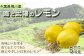 美味しいお米を育てる土壌から生まれた、安心・安全な国産レモン。