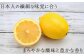 程よくまろやかな酸味と、爽やかで豊かな香りが特徴。日本人の繊細な味覚にもよく合う、やさしい味わいです。
